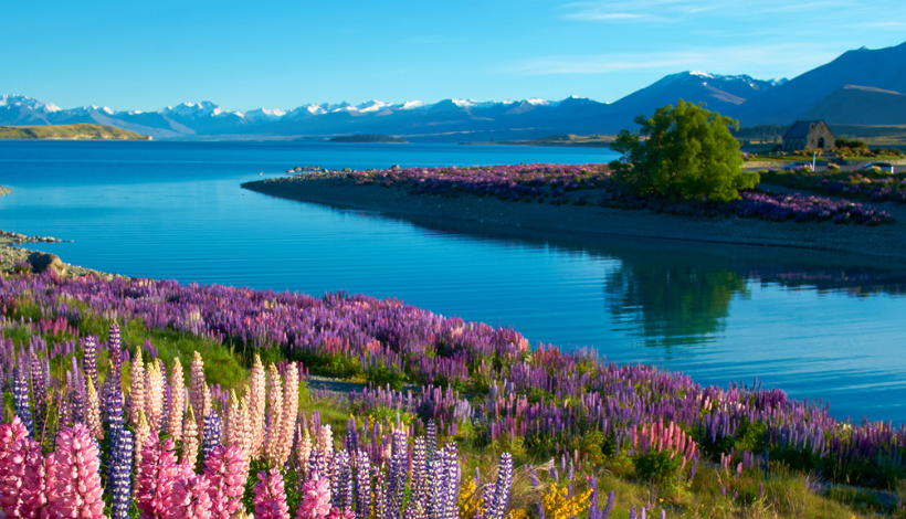 Fiordland National Park, New Zealand