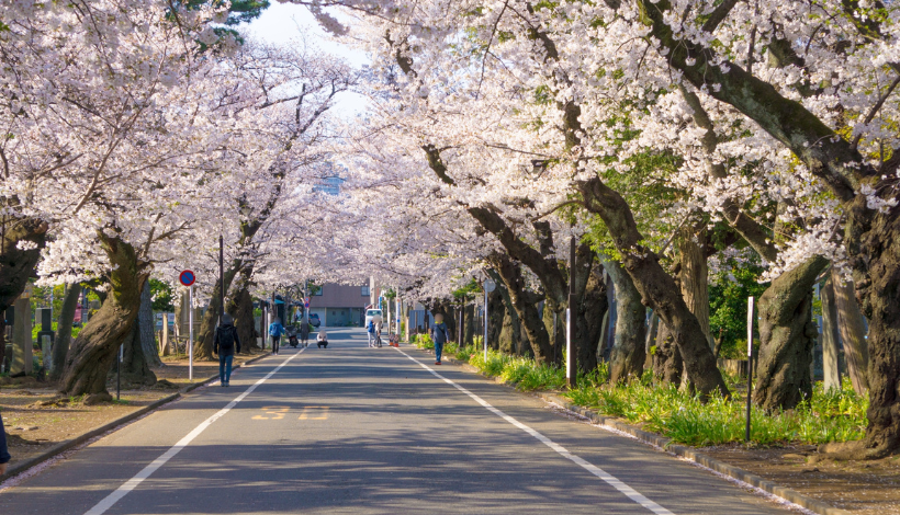 Yanaka Cemetery