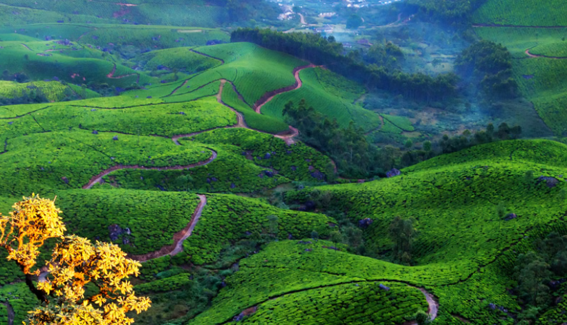 Munnar