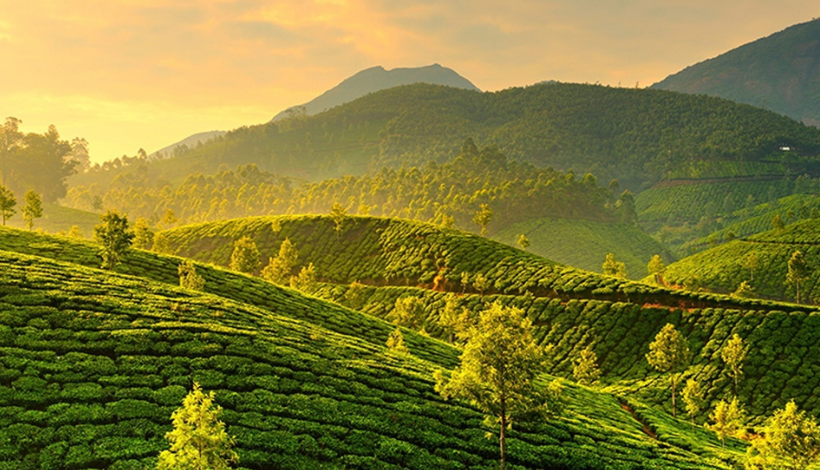 Munnar