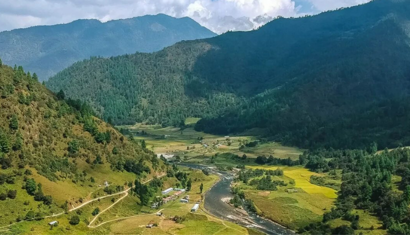 Ziro