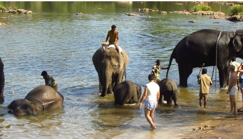 Coorg