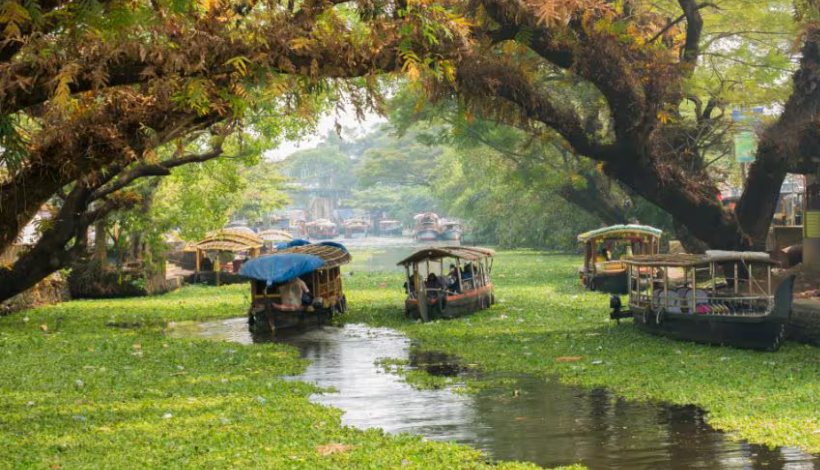 Alleppey