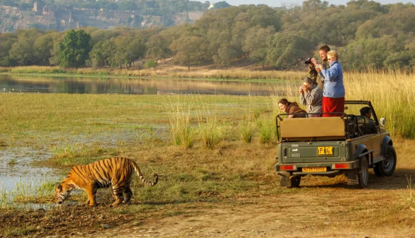 Ranthambore National Park