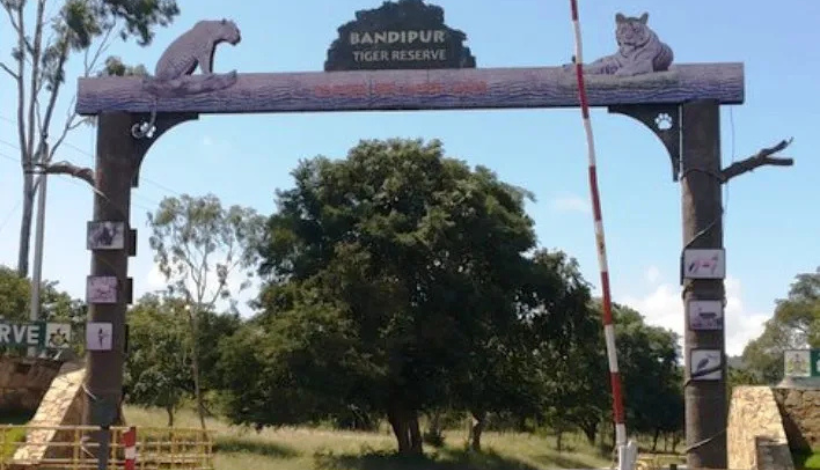 Bandipur National PArk