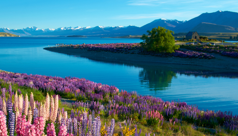Fiordland National Park, New Zealand
