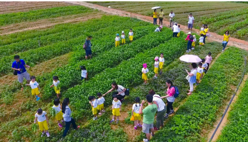 Driving Factors Behind the Rising Popularity of Agrotourism in 2026