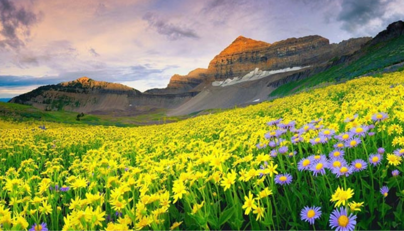 Valley of Flowers, Uttarakhand