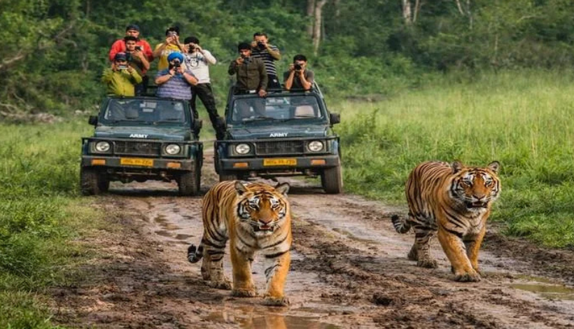 Jim Corbett: Beyond the Safari Clichés