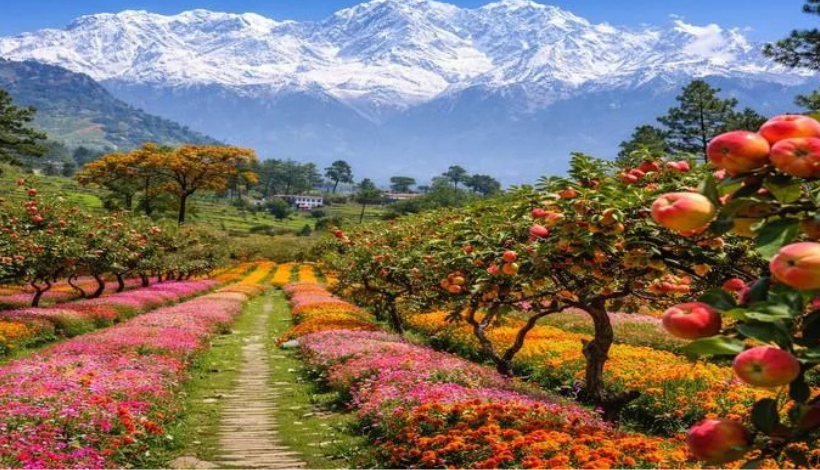 Ranikhet: Golf, Orchards, and Mountain Quietude