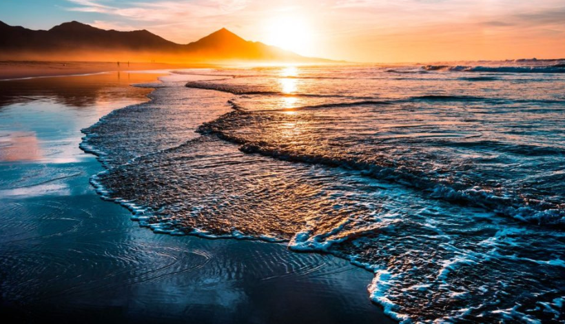 The Strange Calm That Happens Near the Sea