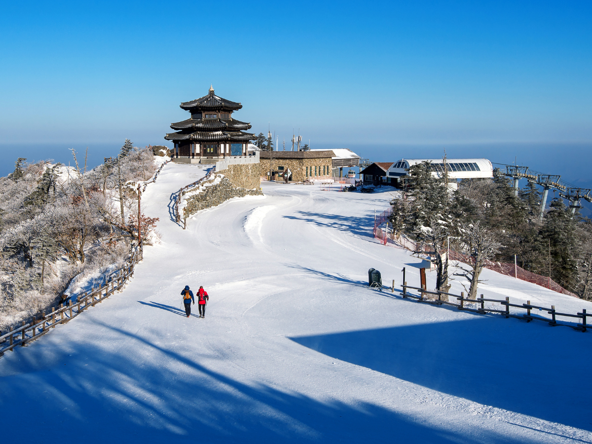 Darjeeling Nearby