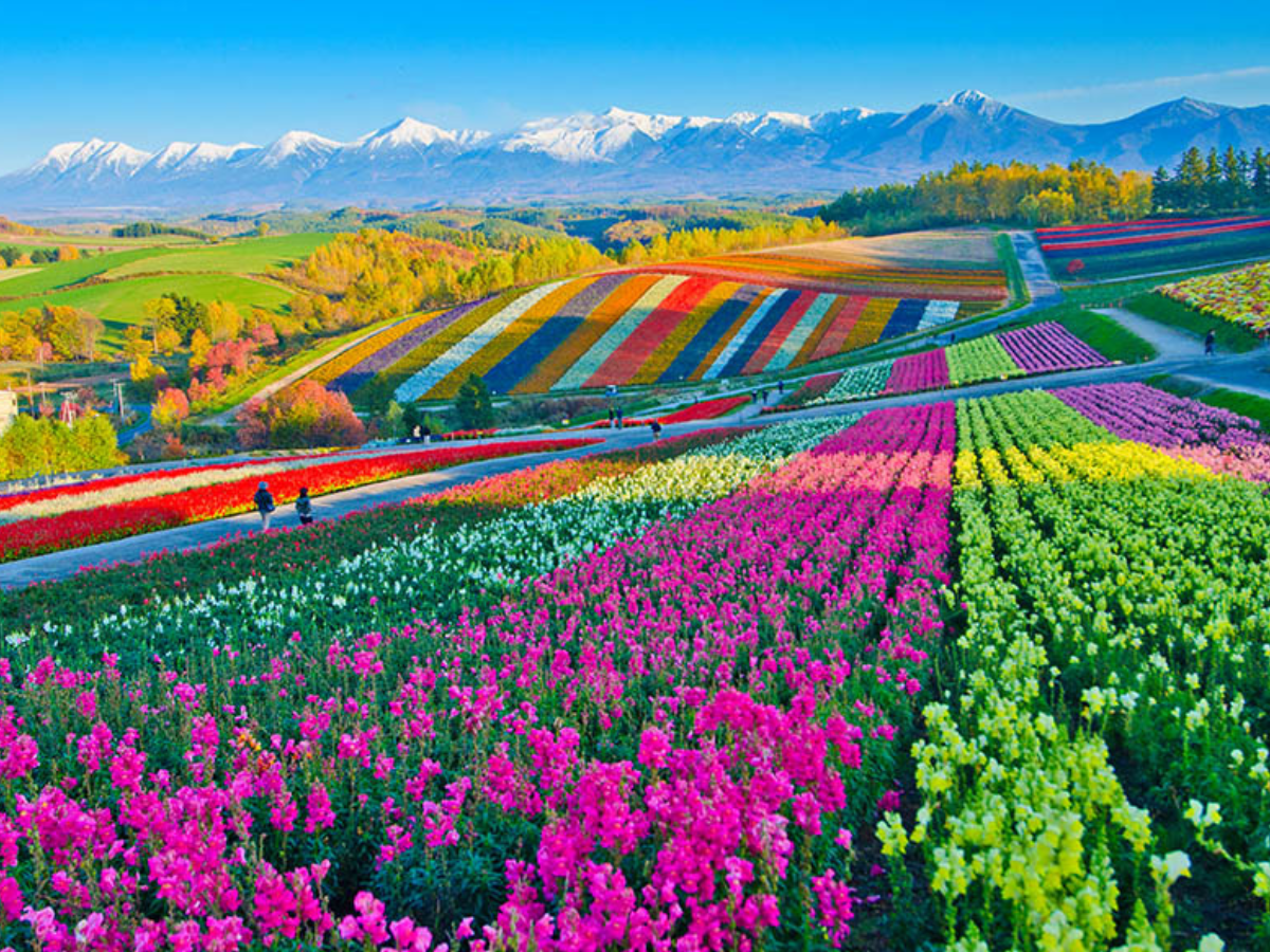 Hokkaido, Japan