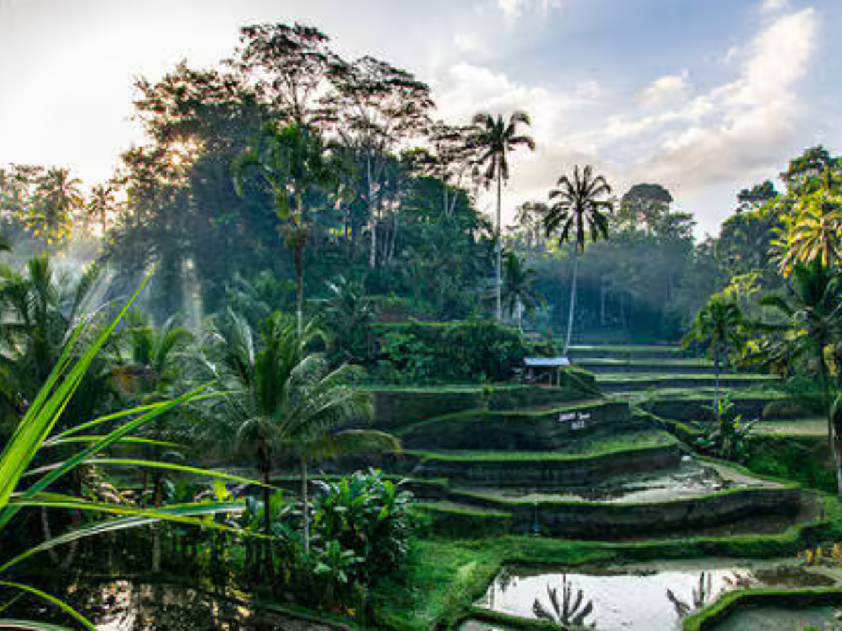 Ubud, Bali, Indonesia