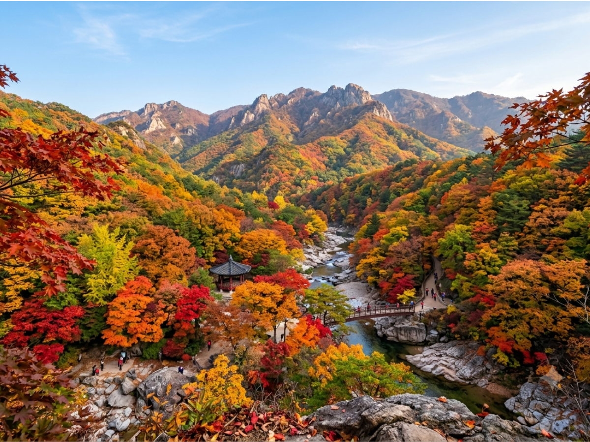 Understanding Korea Autumn Foliage: Timing and Pattern