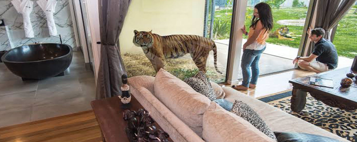 Hotels Where You Can Enjoy Staying With Amazing Wildlife