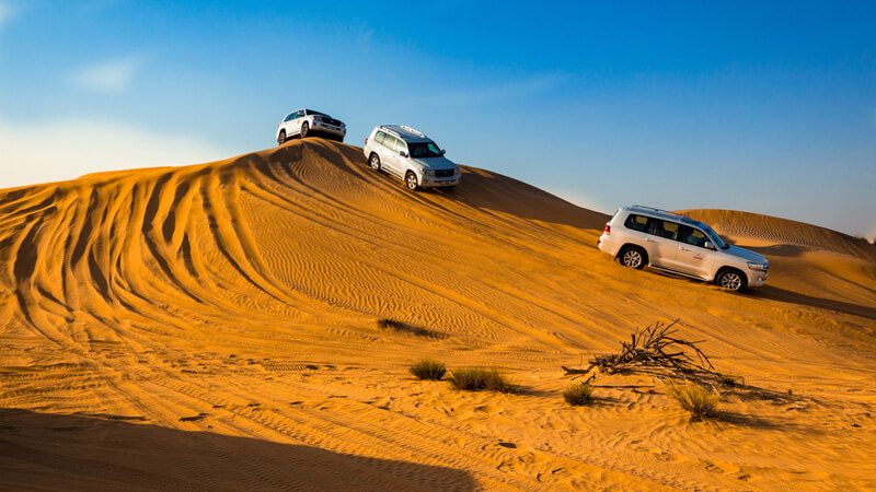 Dune Bashing