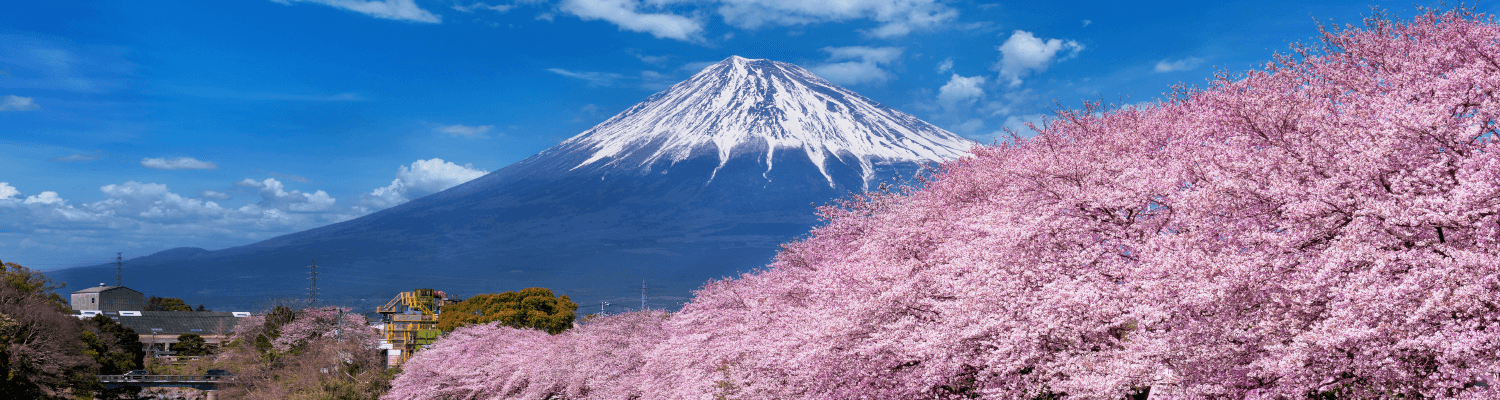 Most Attractive Winter Tourist Spot In Japan