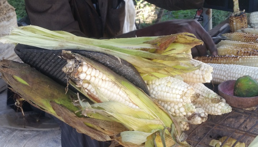 Kenyan Roasted Maize
