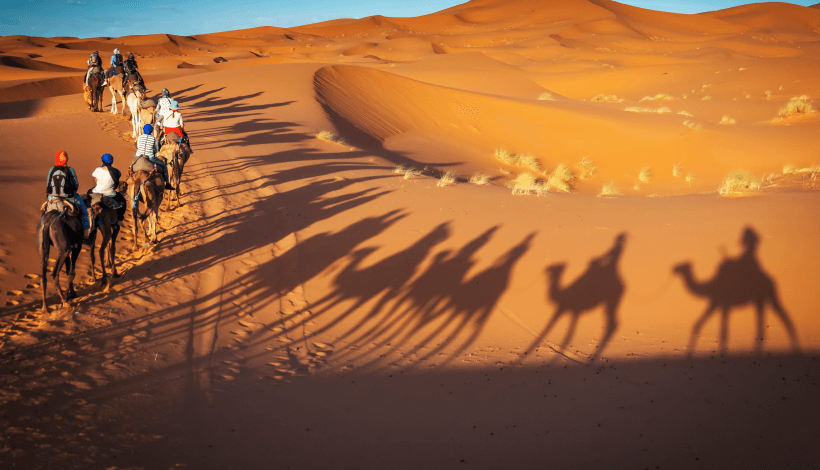 Desert Safari in Abu Dhabi