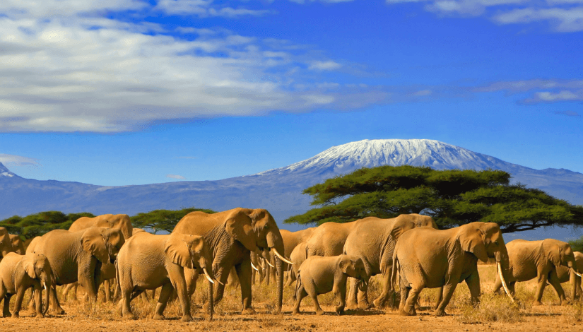 tanzania
