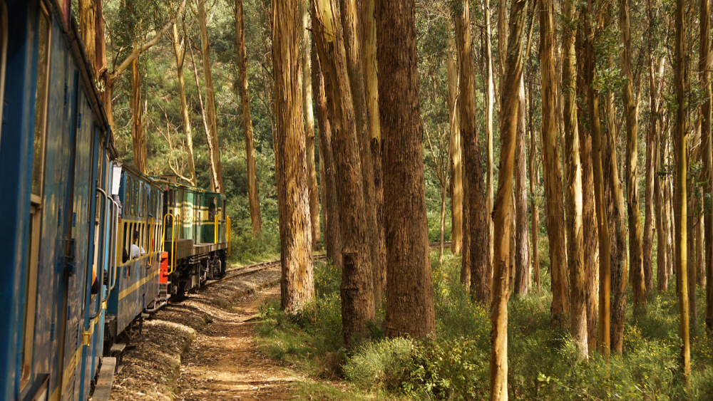 nilgiri-train