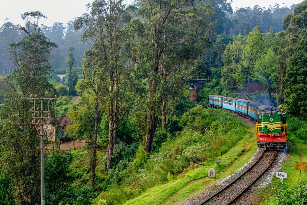 nilgiri-train