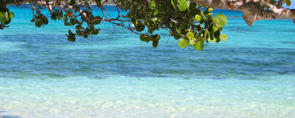 Barbados Beach