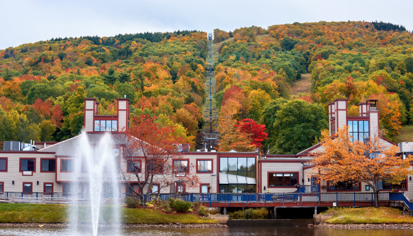 Cultural Cities in Peak Season