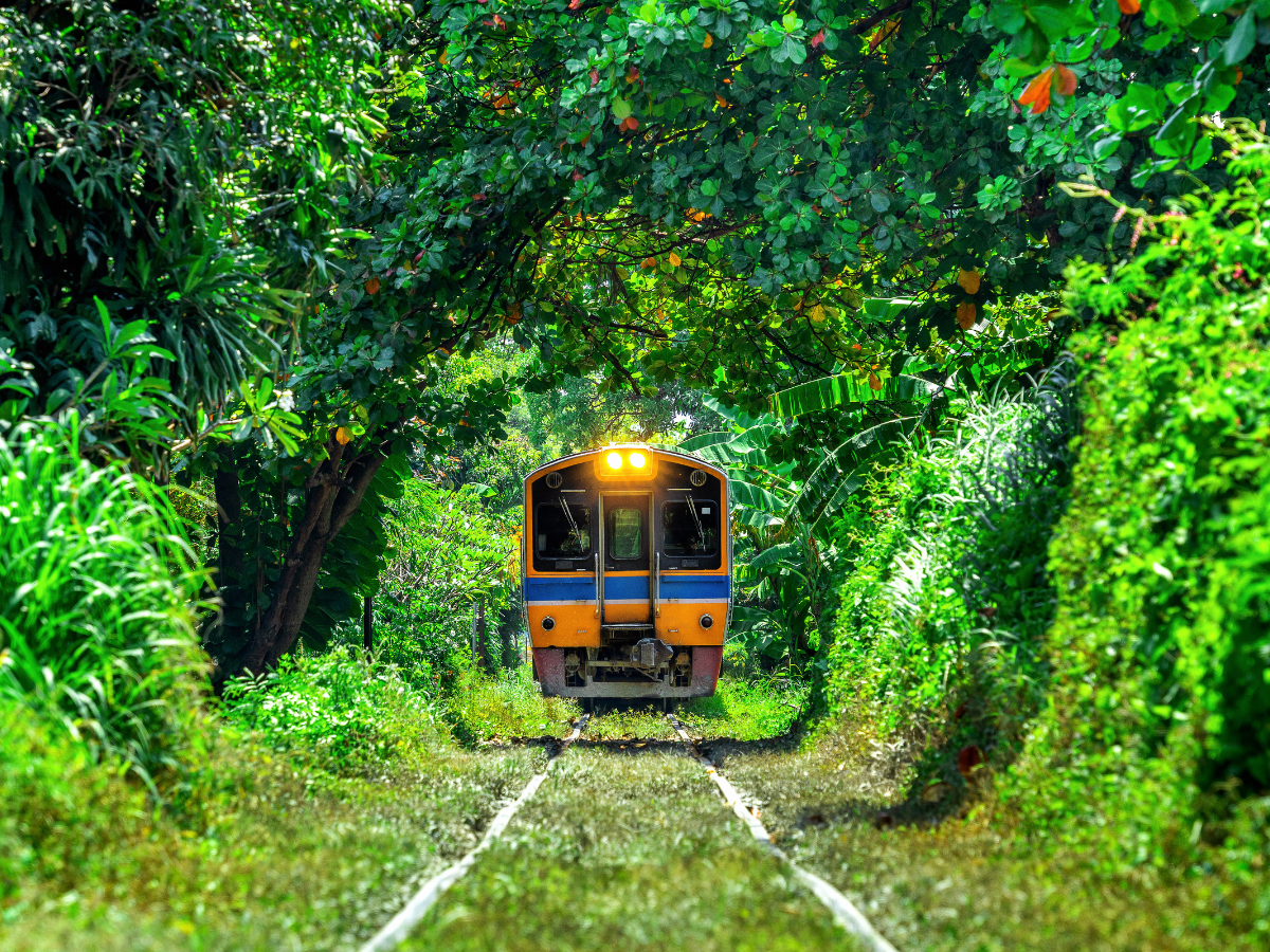 Darjeeling d