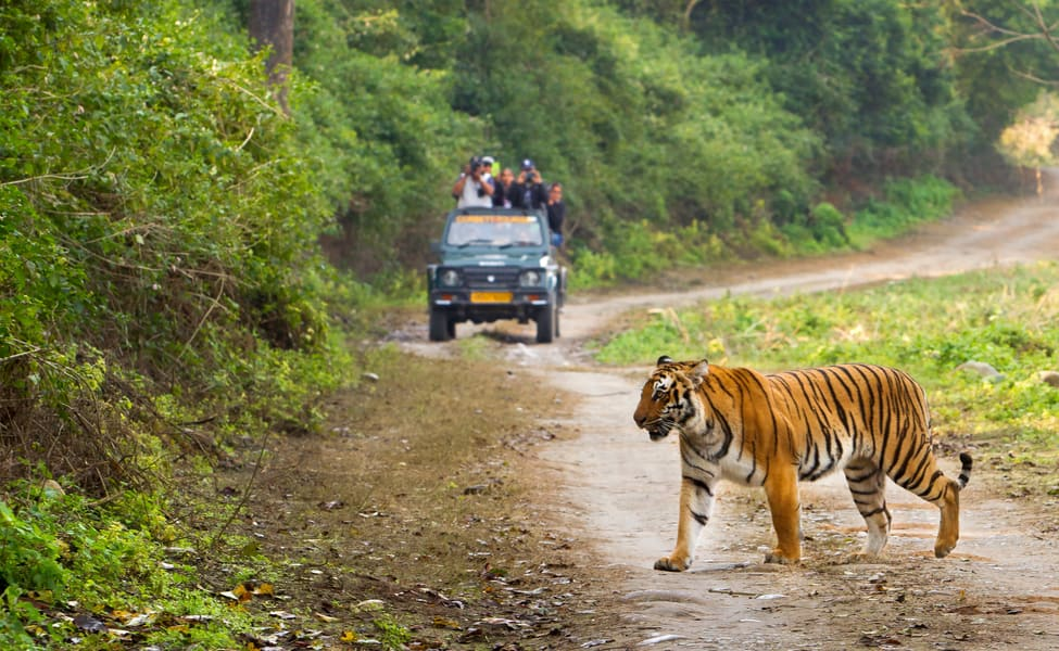Corbett