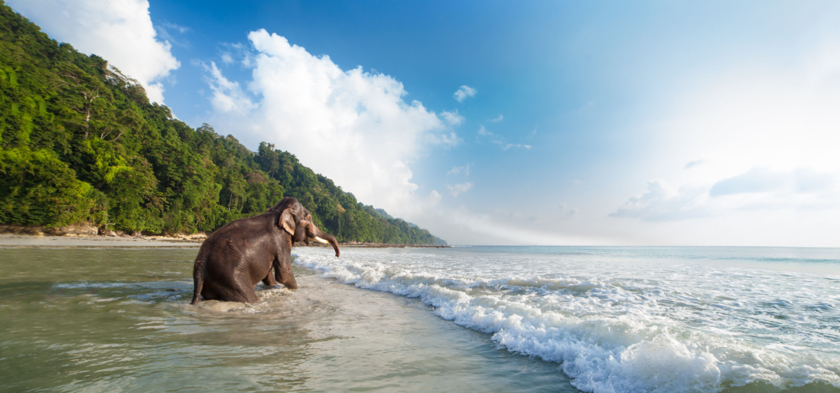 Andaman