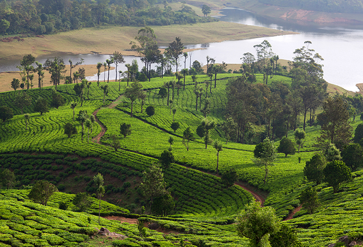 kerala