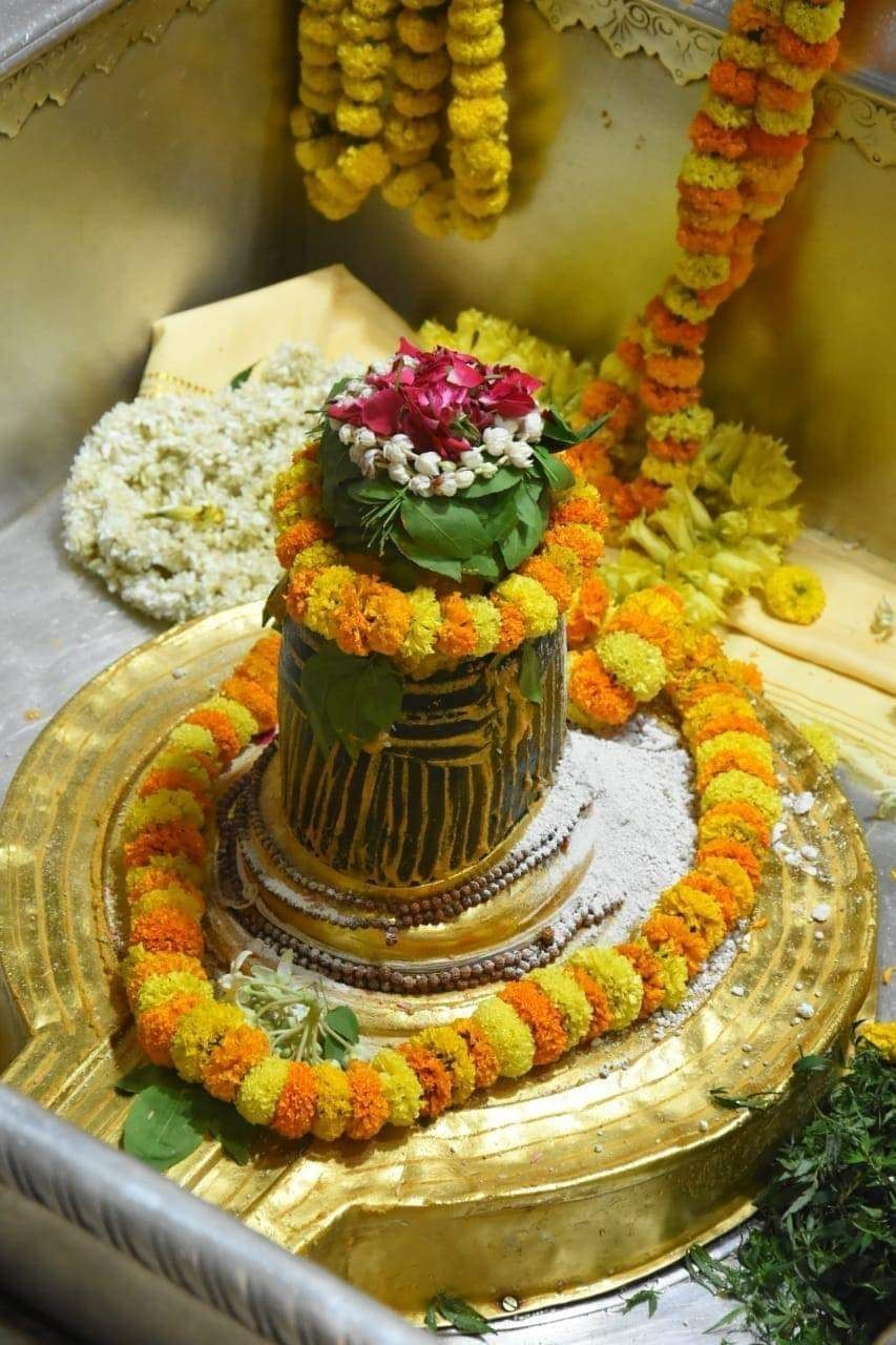 Kashi Vishwanath Jyotirlinga Darshan Yatra