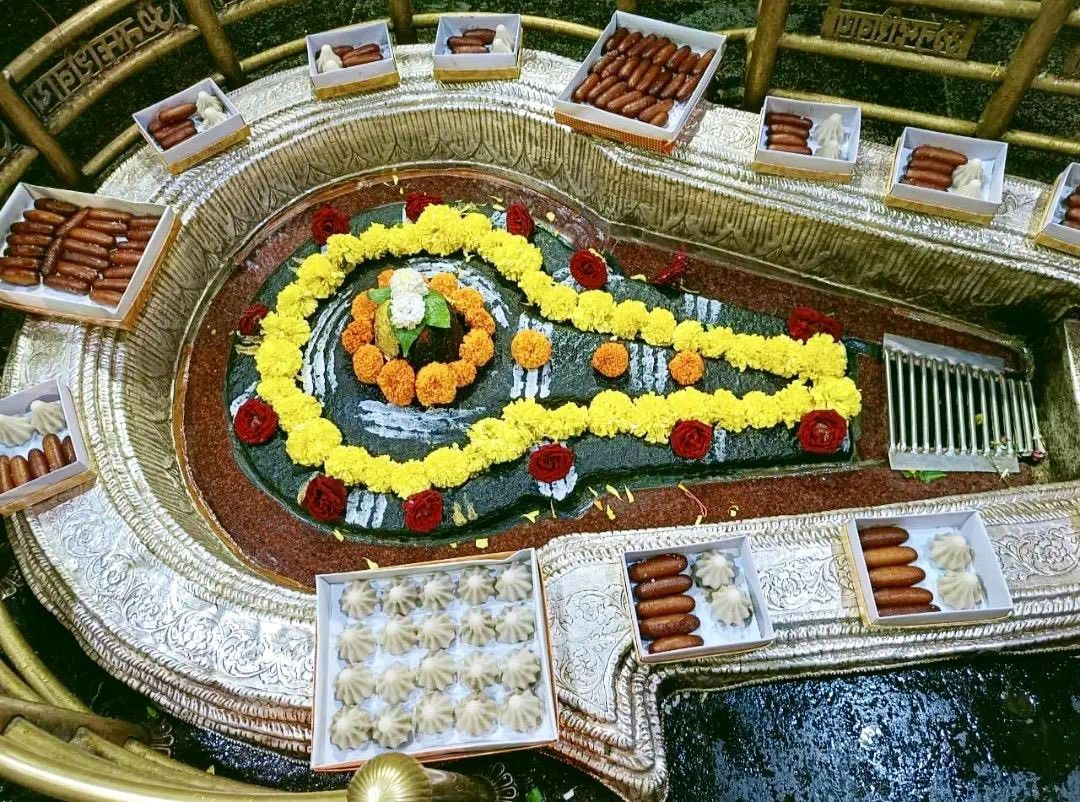Bhimashankar Jyotirlinga Darshan Yatra