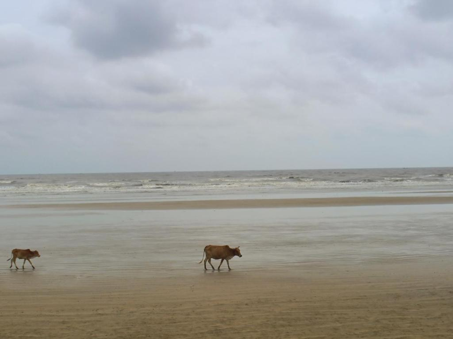 resort k sea view mandarmoni