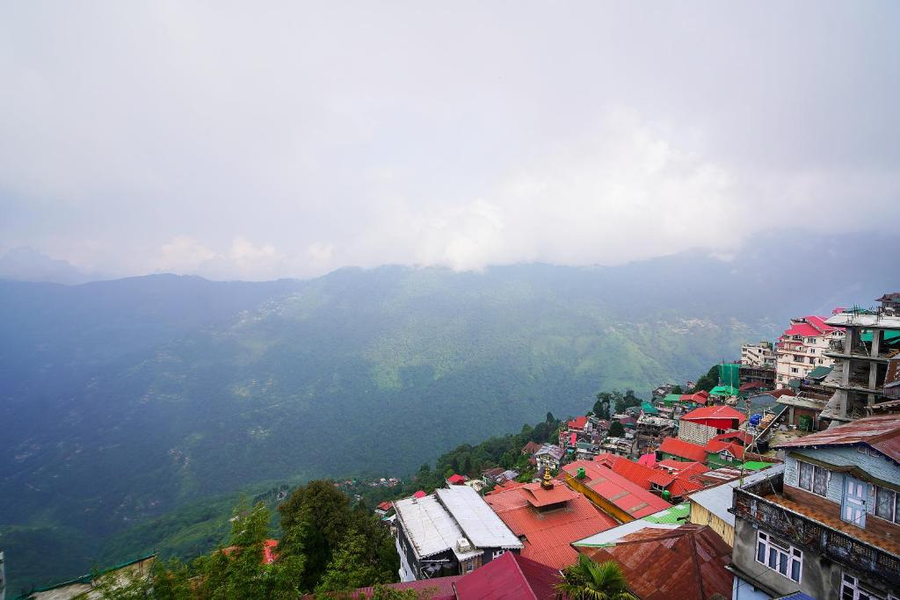 sher bengal darjeeling