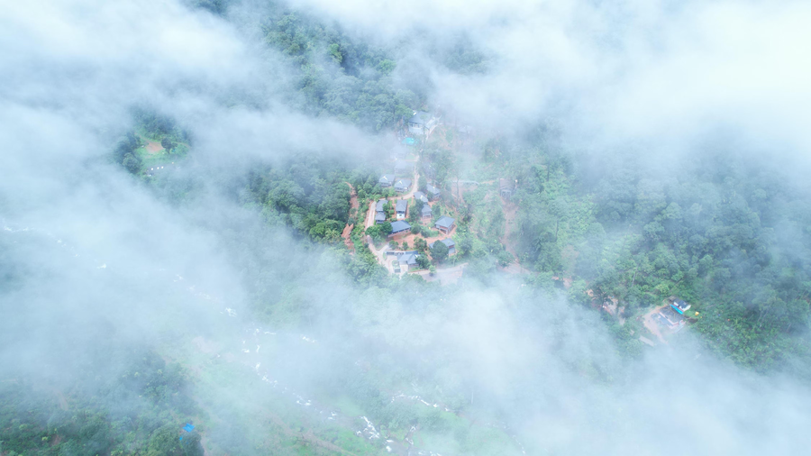 silent brook resort coorg