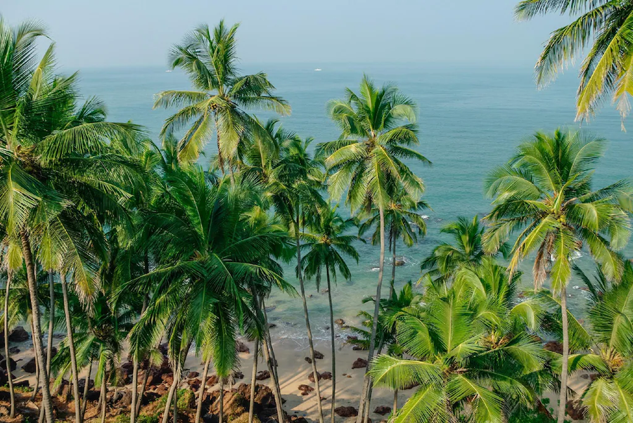 Villa Raag,Canacona South Goa,5 star