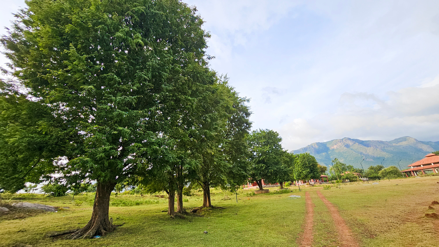 Nature Full Resorts - Masinagudi,,3 star