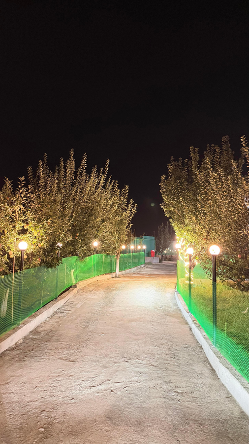 gulmarg orchard