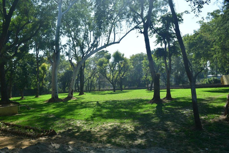estherea bagh ranthambhore tiger territory