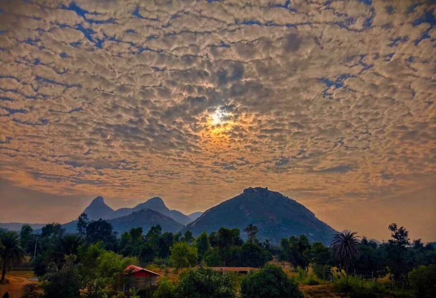 Eco Villa Resort,,3 star