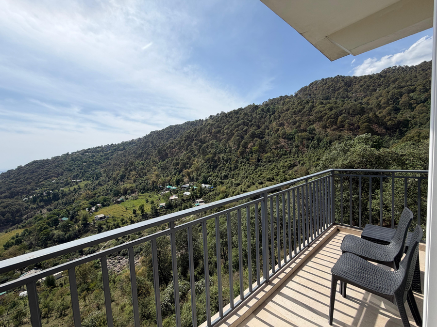 hotel el pino