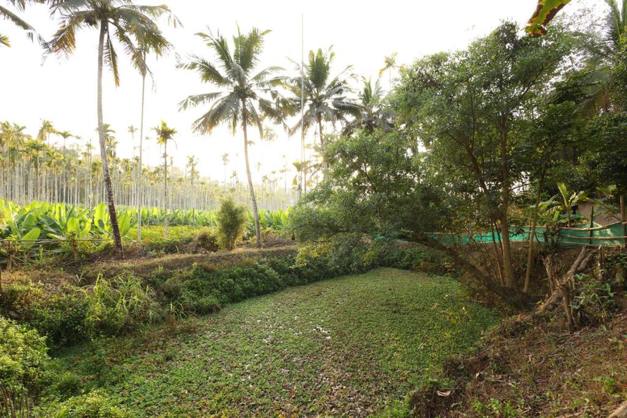 Vayuvana Heritage Organic Farm Resort,,3 star