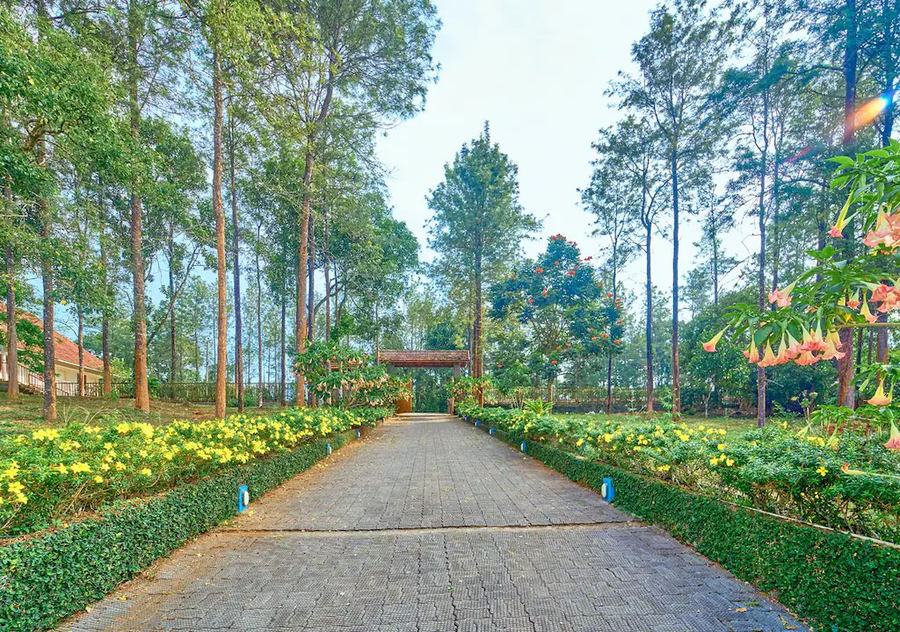 mistaura homes munnar by voye homes
