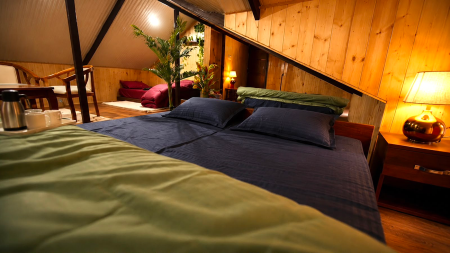 The Alpine Hut,Old Manali,2 star