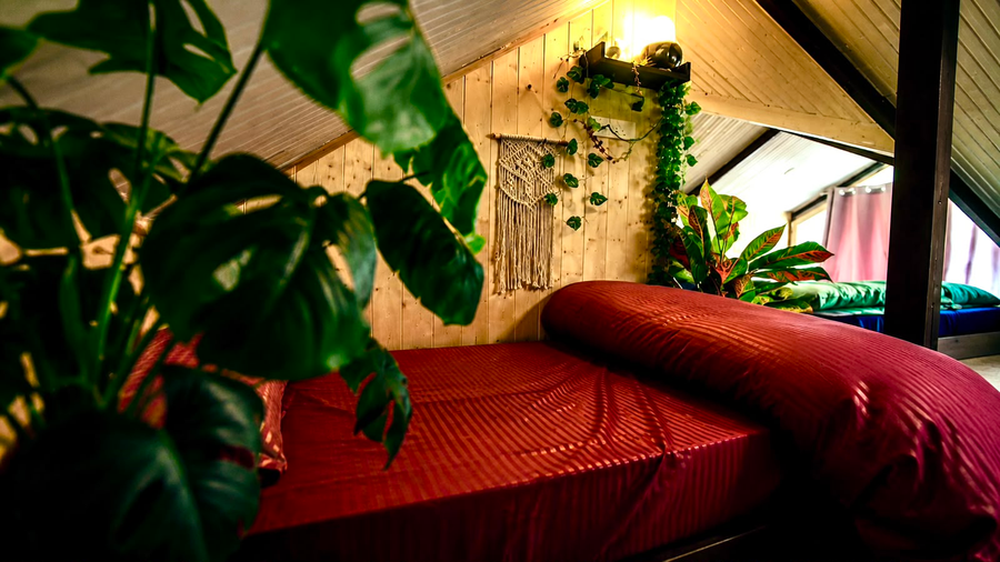 The Alpine Hut,Old Manali,2 star