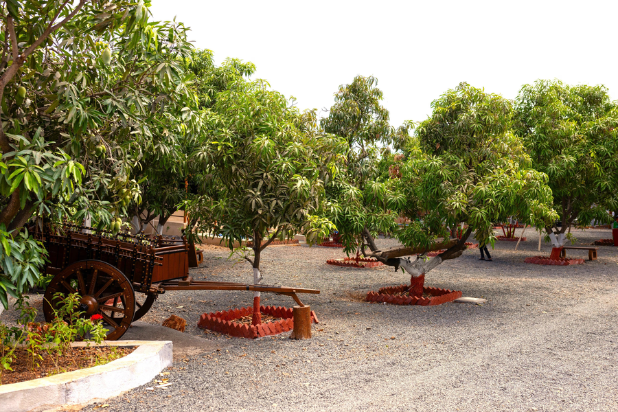 Hiran Gir Retreat - A Family Resort,,3 star