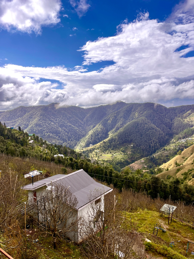 Orchard Valley Resort,Kufri Chail Road,3 star